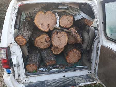 A vehicle loaded with Khair wood was caught in Jakhbad