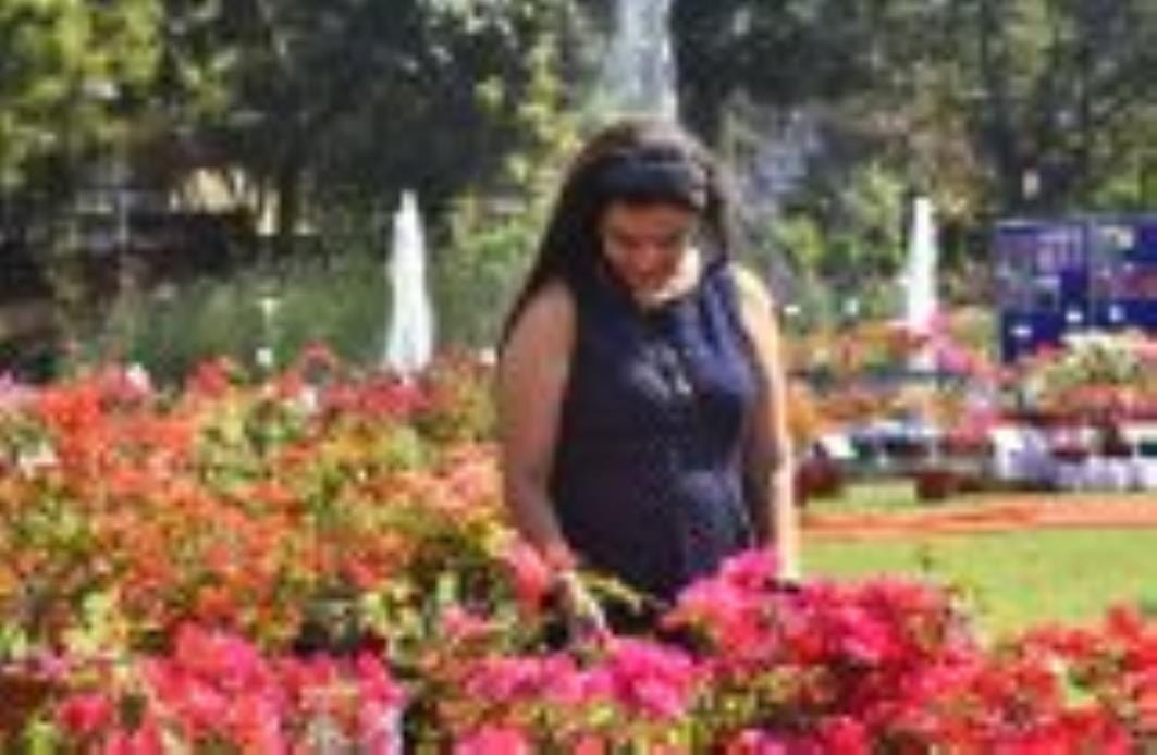 NBRI blooms with colorful bougainvillea