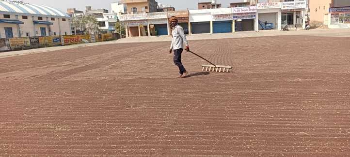 Purchase of mustard from 15th, farmers are reaching the market