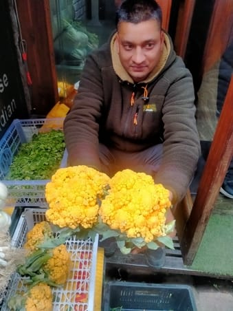 Yellow cabbage became the center of attraction in McLeodganj