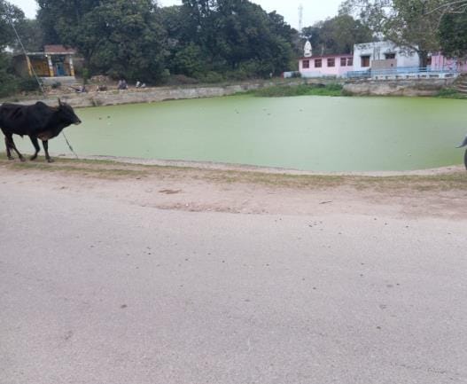 People are facing problems due to absence of lanes and drains