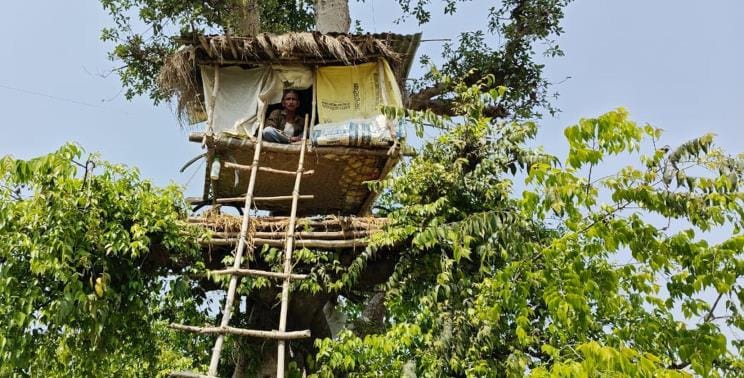 Farmers are guarding their fields by building tree huts
