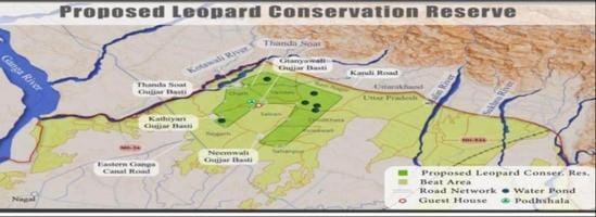 Leopard reserve forest will be built in Bijnor
