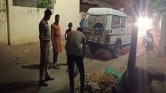Rewa News Dog dragged dead newborn by pressing it in its mouth causing panic in area