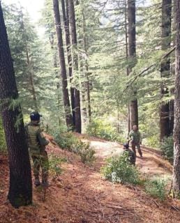 Forests cordoned off, all roads closed