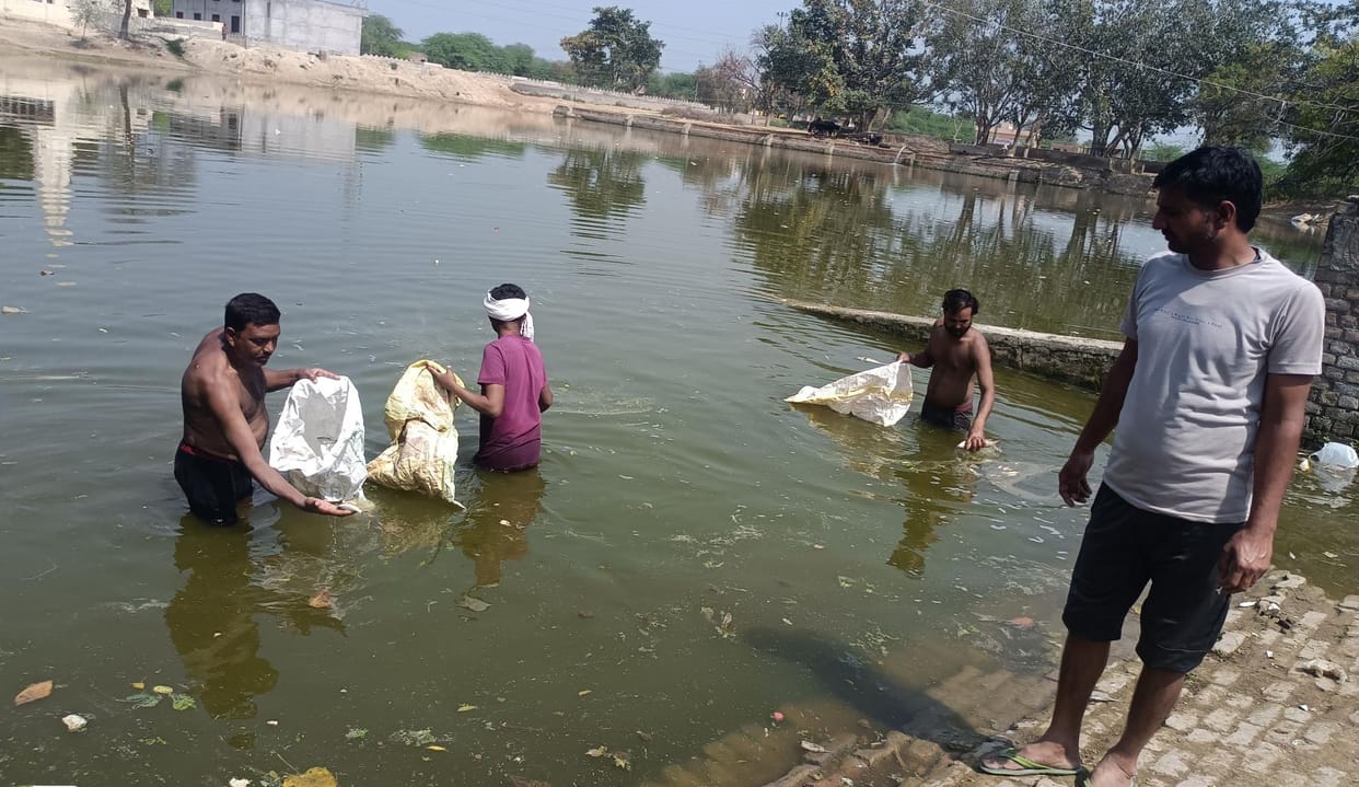 Due to fish dying in the pond, foul smell spread in the locality, people are troubled