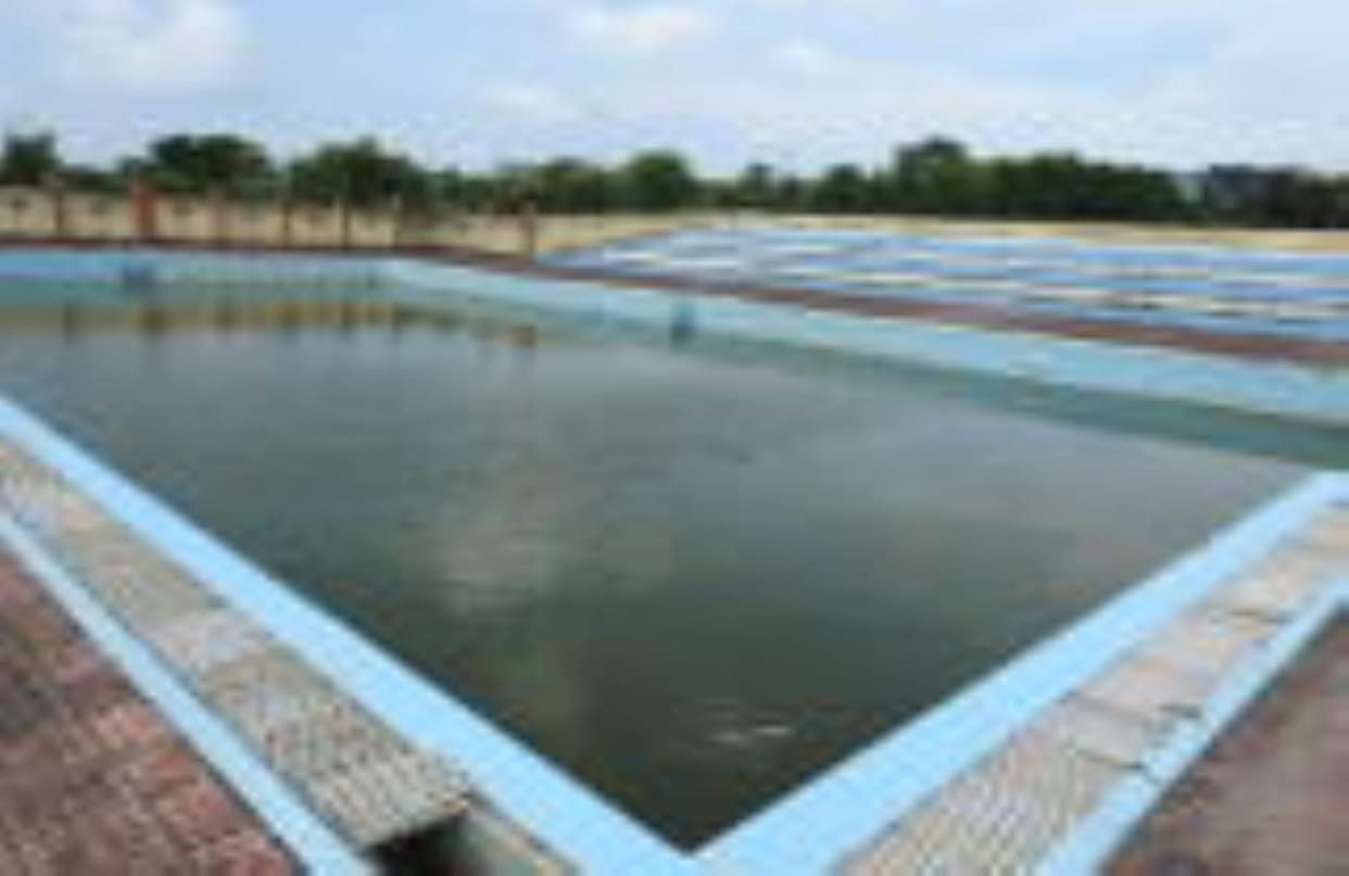 Swimming pool will open from April 1, stadium administration is busy in preparation