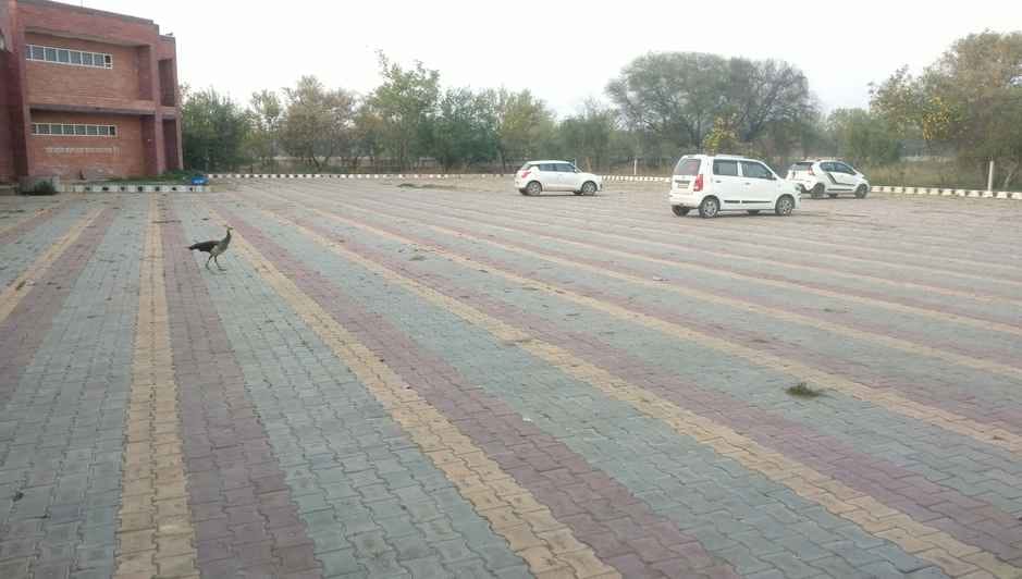 Parking will be made at the new and old bus stand of the city and at the old bus stand in Bahadurgarh