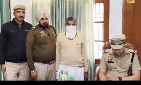 Police recovered 182 opium plants from Panch's plot
