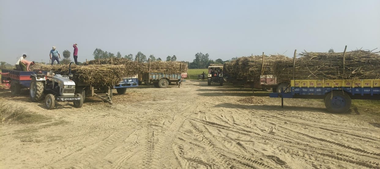 Crowd of sugarcane farmers increased at purchasing centers