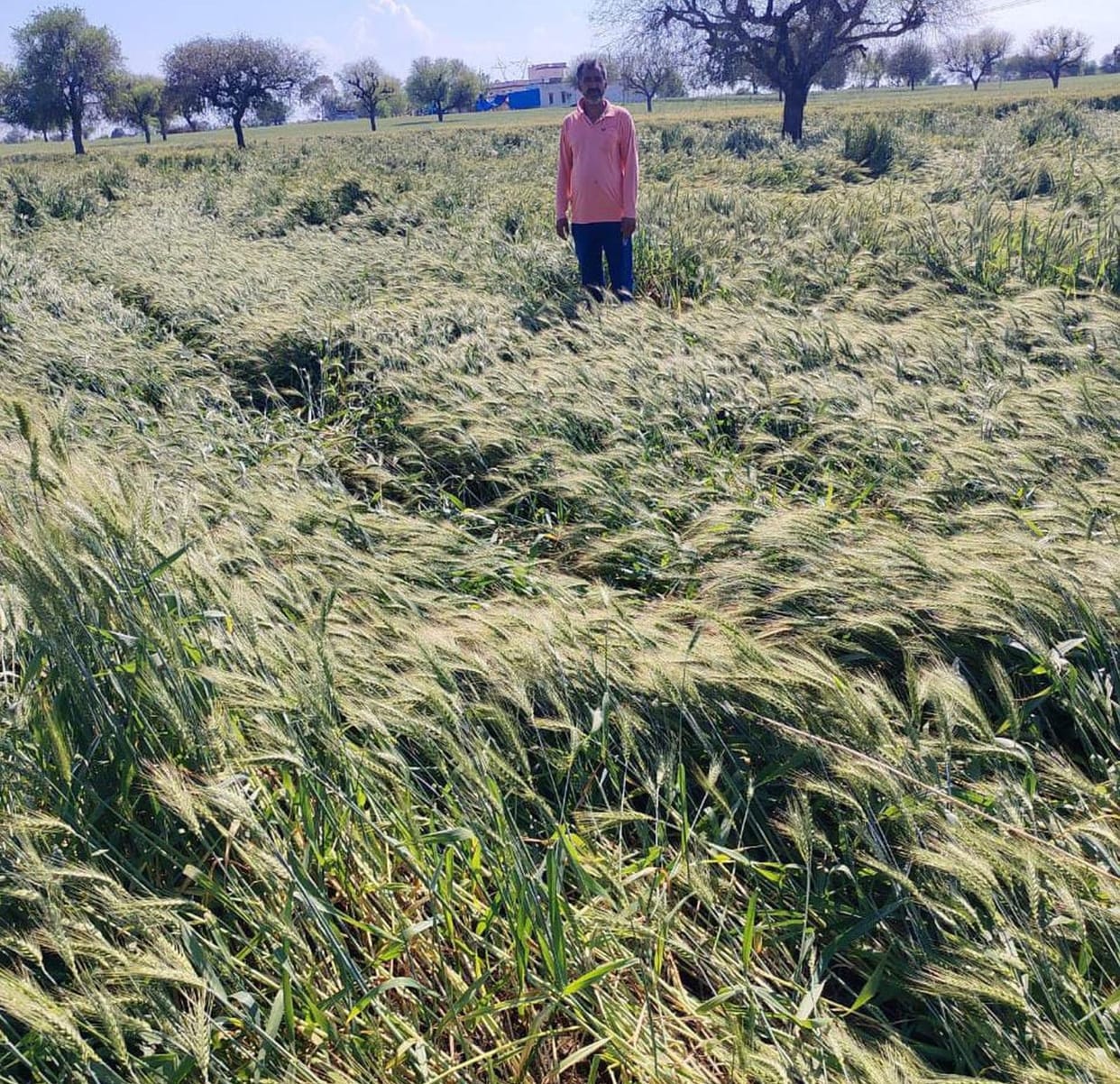 farmers bothered to lodge registration on portal