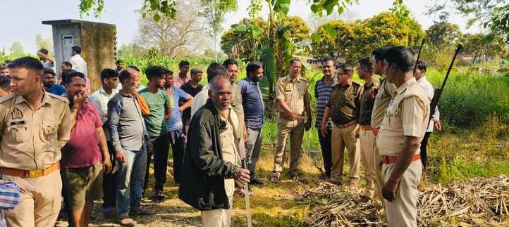 The tiger dragged away the bird, forest workers arrived without any resources