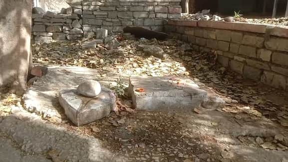 निंबाहेड़ा क्षेत्र में स्थित धार्मिक स्थल से प्रतिमा चोरी