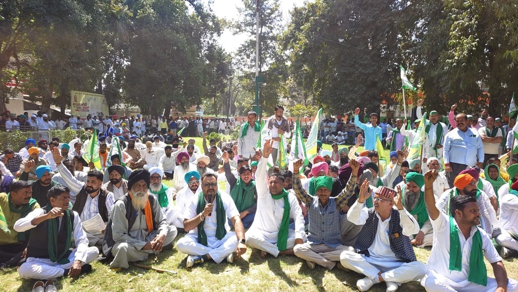 Farmers are angry due to the ban on Satha rice