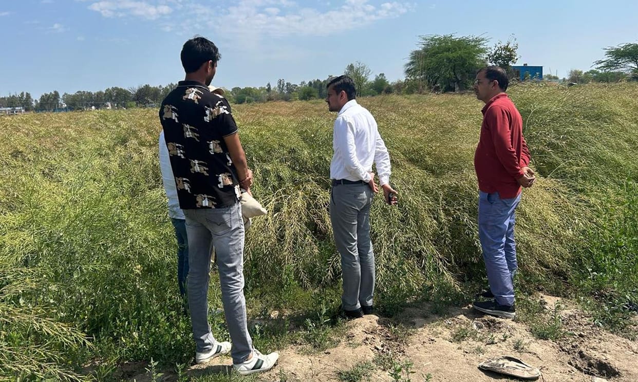 SDM reached the fields to investigate the Girdawari