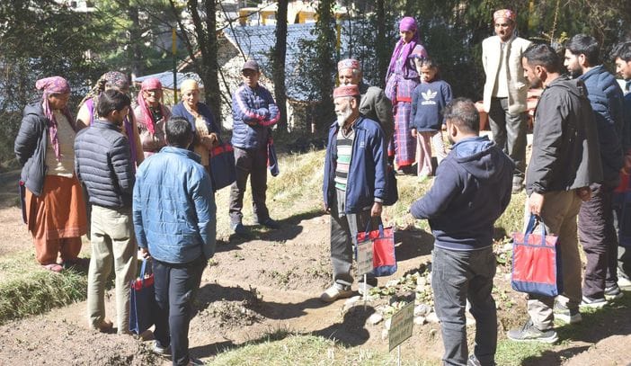 Wild garlic production fell due to unscientific exploitation: Swarnalata