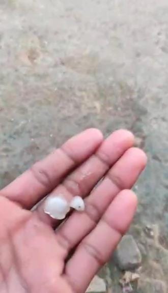 Weather suddenly changed, drizzle and hailstorm also occurred