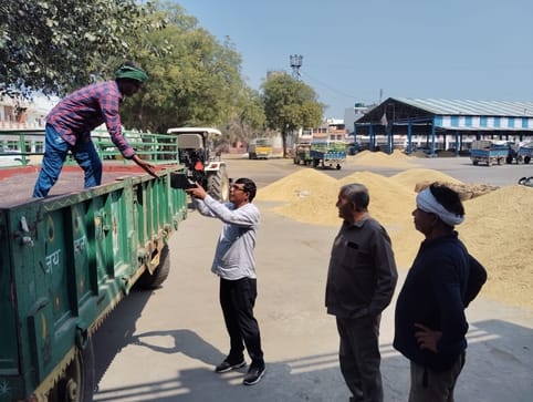 64 quintals of mustard sold in Gohana Mandi in two days