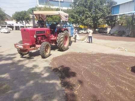 170 quintals of mustard was purchased from ten farmers