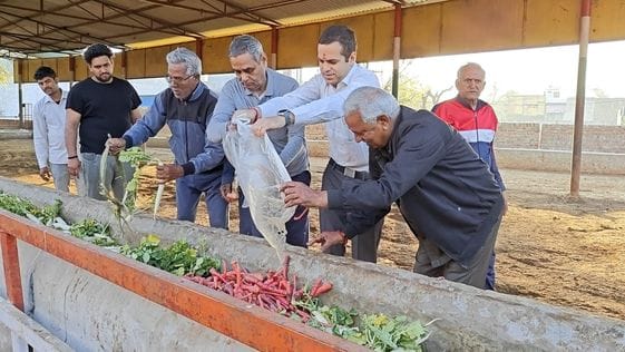 SDM organized a Savamani in the orphan cowshed