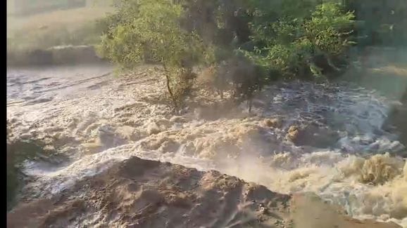 Mustard crop submerged due to canal breakage