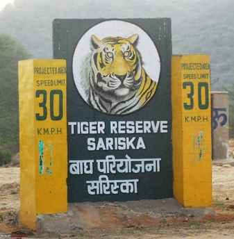 Now a statue of Rajmata who populated Sariska with tigers will be installed