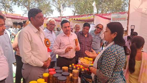 Adopt organic farming, earn profit