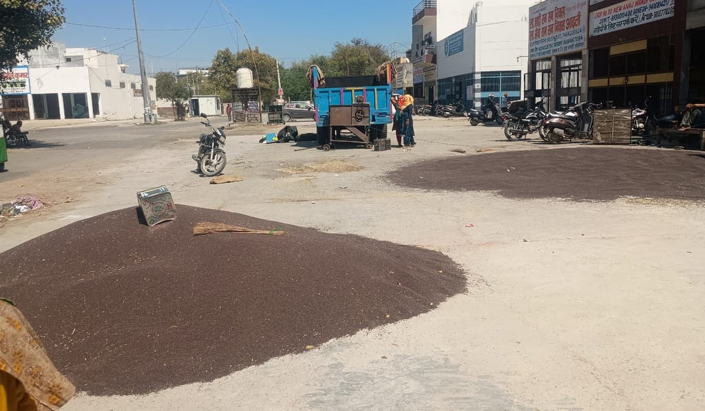 Hafed purchased 32 quintals of mustard, 23 quintals were found to have excess moisture