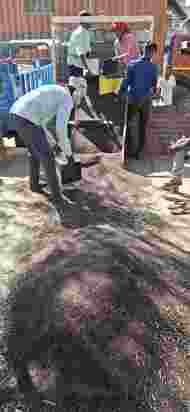 -फोटो 55 : अनाजमंडी में सरसों को साफ करते श्रमिक। संवाद