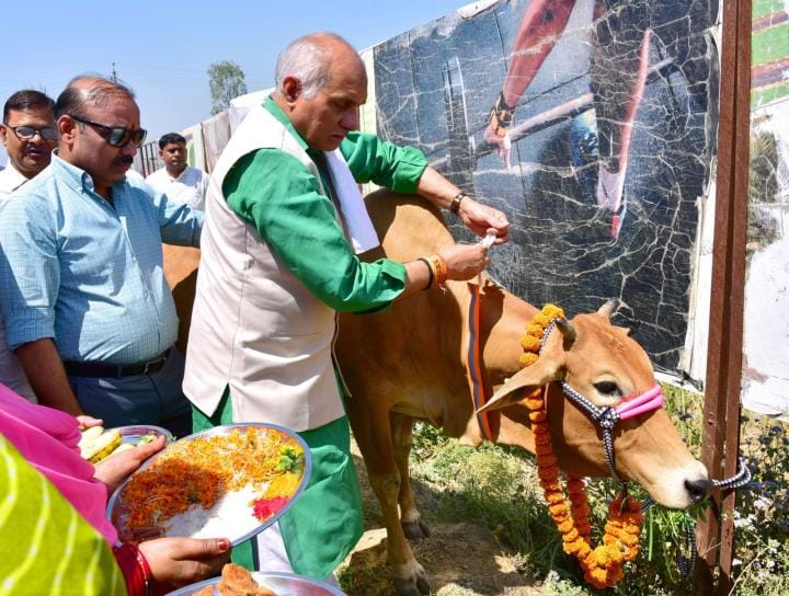Radium strips around the neck of cows will prevent accidents