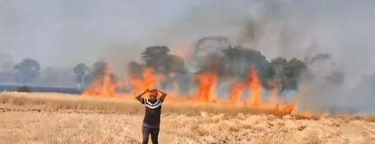Fire breaks out in fields of Umaria and Bilhra villages of Amarwada block