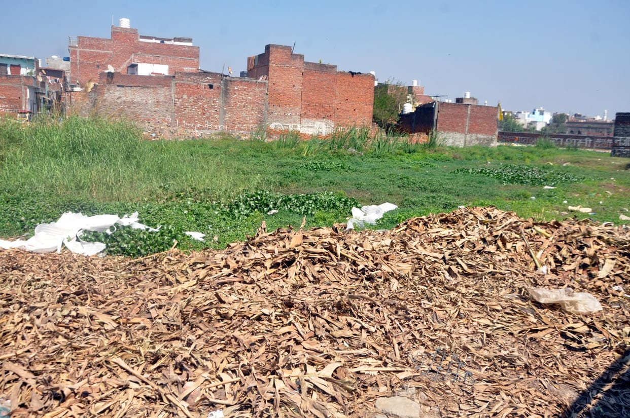 The nectar of the lakes dried up in the heat of neglect