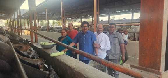 Savamani organized in Shri Gopal Gaushala