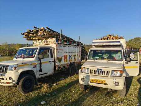 Four vehicles carrying wood without documents were seized in Punjab
