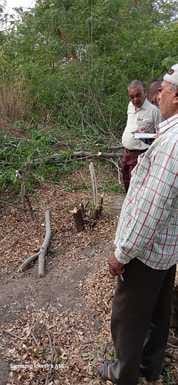Illegal possession of government land, tree felling, tehsildar takes major action