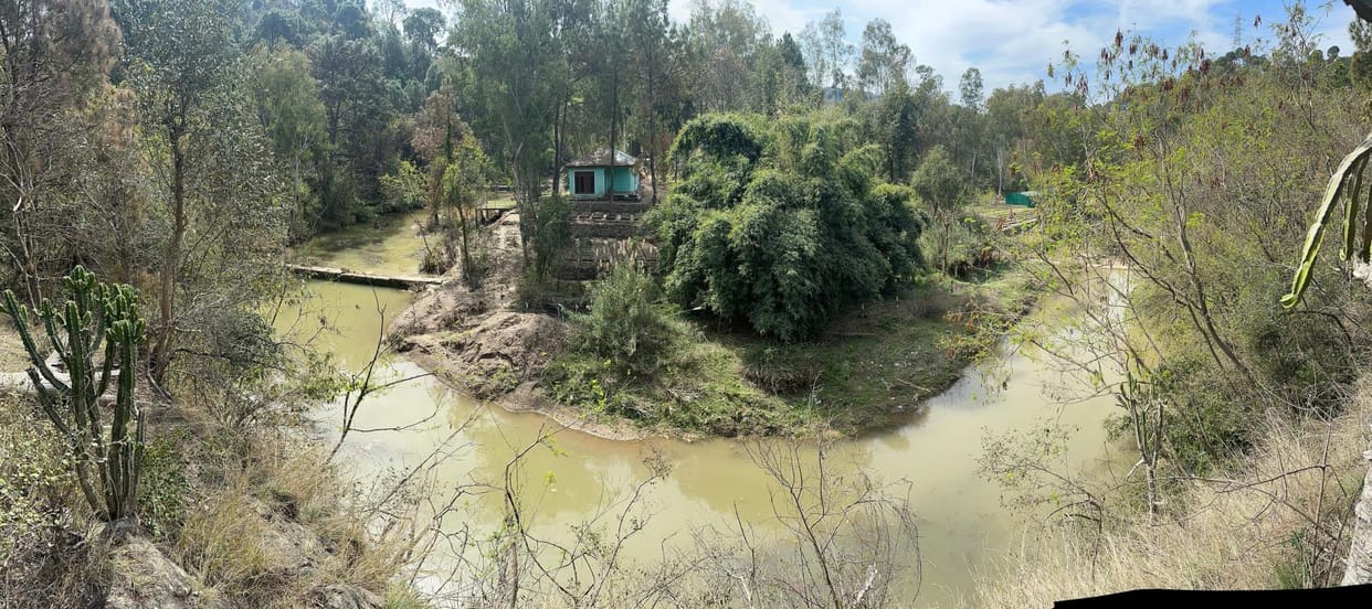Forest Department Gave New Life to Natural Water Resources