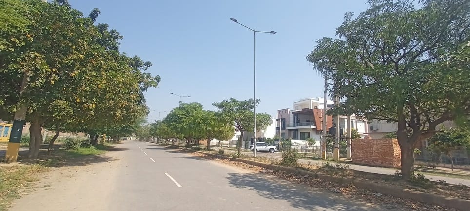 New transformers will be installed in Sector 8, uninterrupted electricity will be available in summer