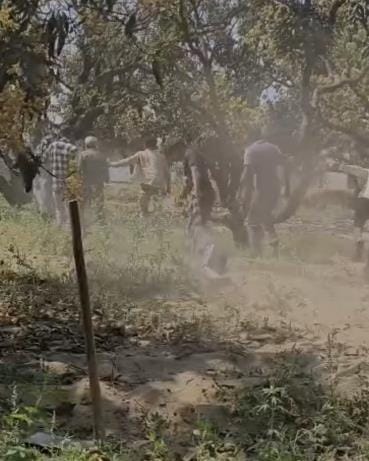 A young man was dragged into a mango orchard and beaten up on charges of theft, video goes viral