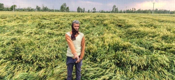 Crops destroyed by hail and rain, storm blew away electricity