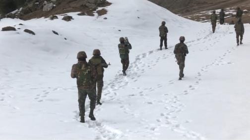search operation