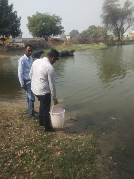 Work started in the district to prevent dengue and malaria, the department's focus is on eliminating larvae