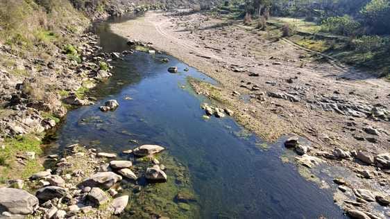 The falling water level of the ravines is a matter of concern: Amarnath Dhiman