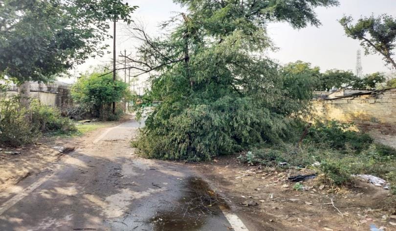 Trees broken, tin sheds and tents blown away in the rain accompanied by dust storm