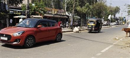 More than 3.25 crores spent in one year, still cattle are on the roads
