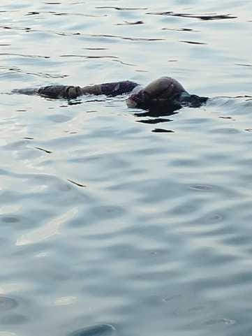 The body of a young woman was found floating in the Betwa river