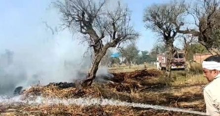 44.5 acres of land burnt to ashes