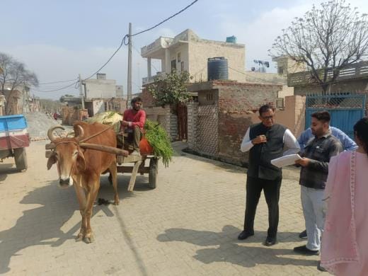 The number of cows increased by 22 percent and buffaloes by 9 percent in five years