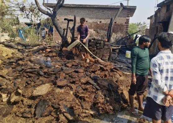 Fire broke out in the enclosure due to short circuit, three animals burnt
