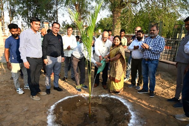 Forests play an important role in environmental protection