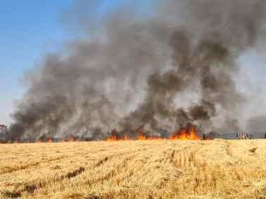 Sehore News First FIR registered in Bhairunda police station for burning stubble arson in fields not stopping